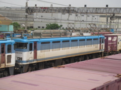 EF81の重連　福岡貨物ターミナルにて　②