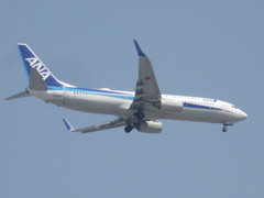 ANA  737-800  JA60AN