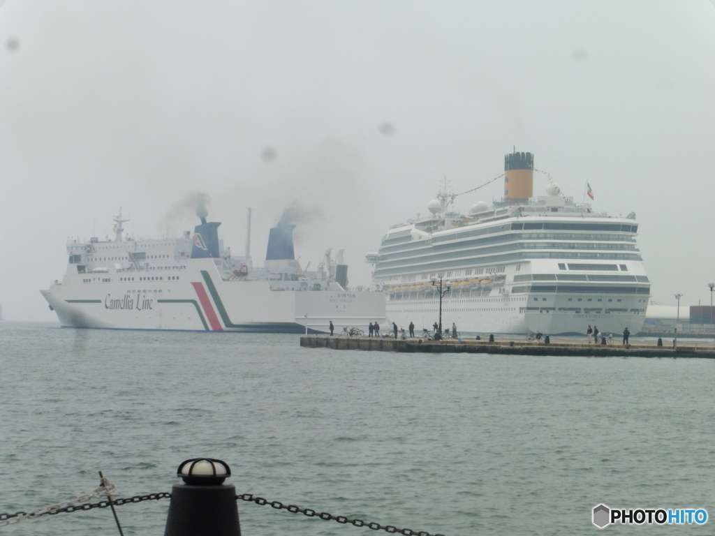 COSTA　FORTUNAとニューカメリア