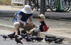 群がる鳩と親子の光景