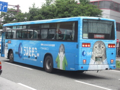 大分バスの　うみたまご　の塗装車両②
