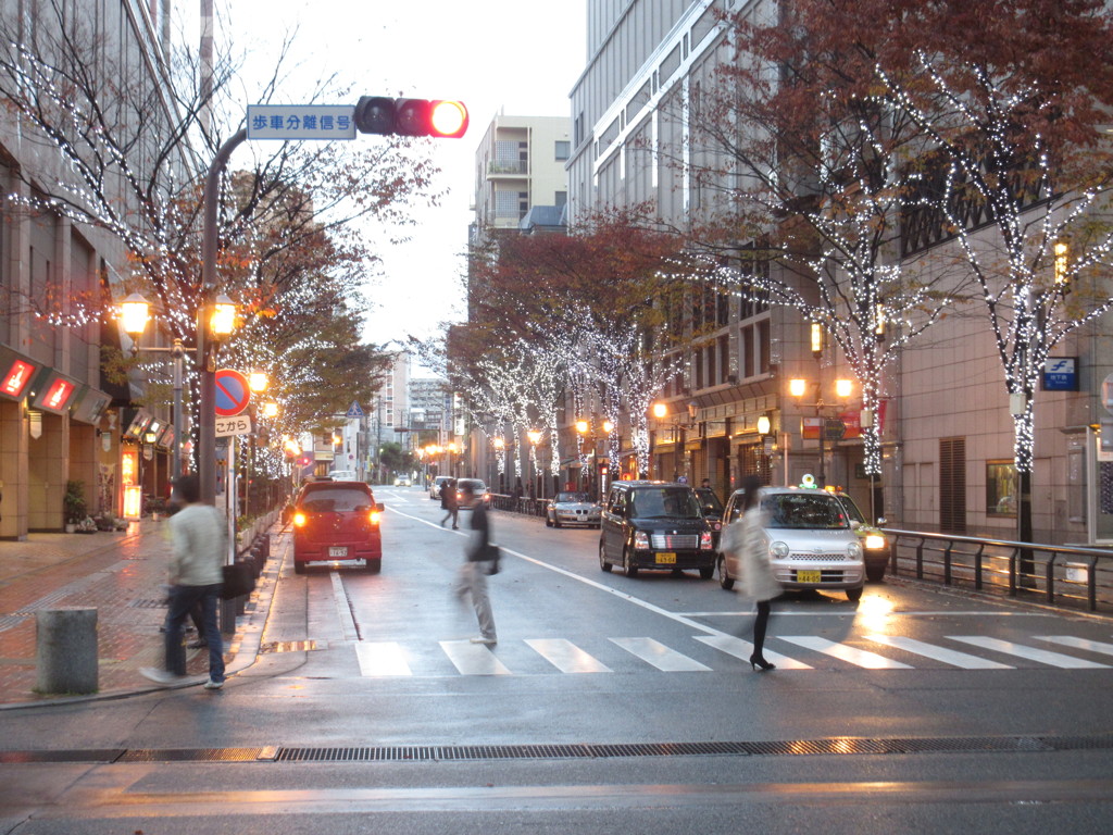 中州のクリスマスイルミネーション　②