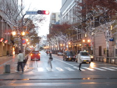 中州のクリスマスイルミネーション　②