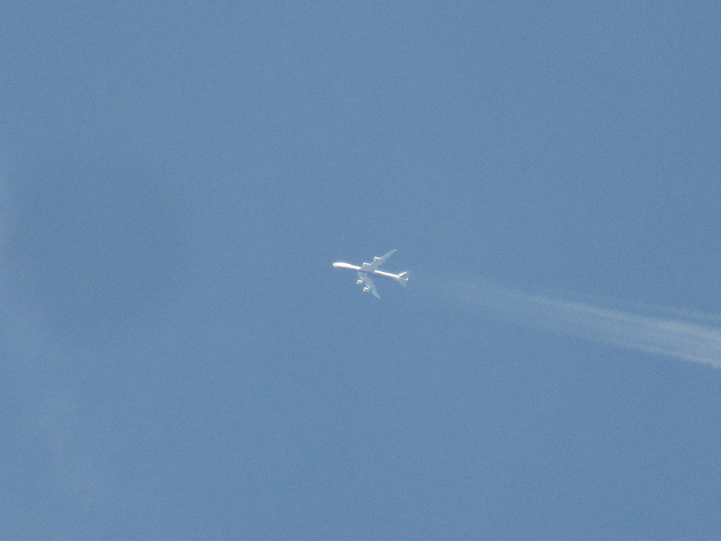 nippon cargoの飛行機雲