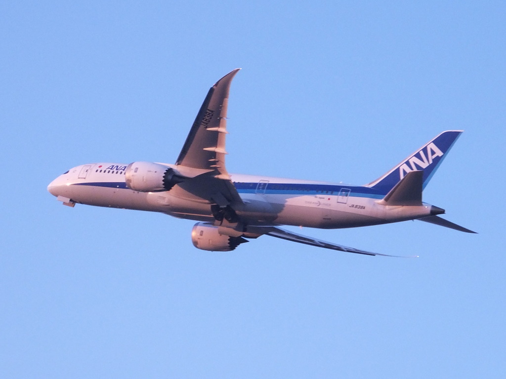 ANA  B787-8の離陸