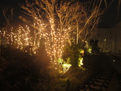 博多シティより②