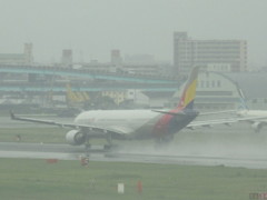 ASIANA　Ａ３３０の離陸