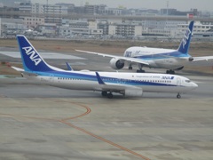 ANA　737-800