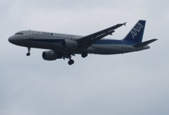 ANA　A320到着