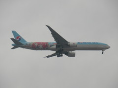 KOREAN AIR 777-300ER  HL8250