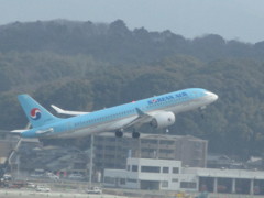 KOREAN  AIR   CS300