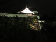 夜の福岡城③