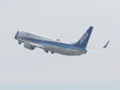 ANA  B737-800  福岡空港離陸