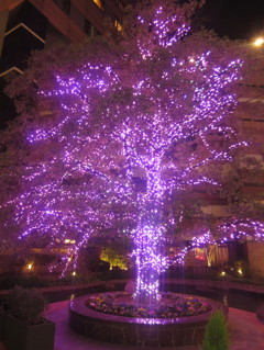 キャナルシティにて④