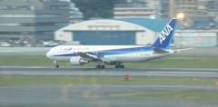 ANA　B767流し撮り