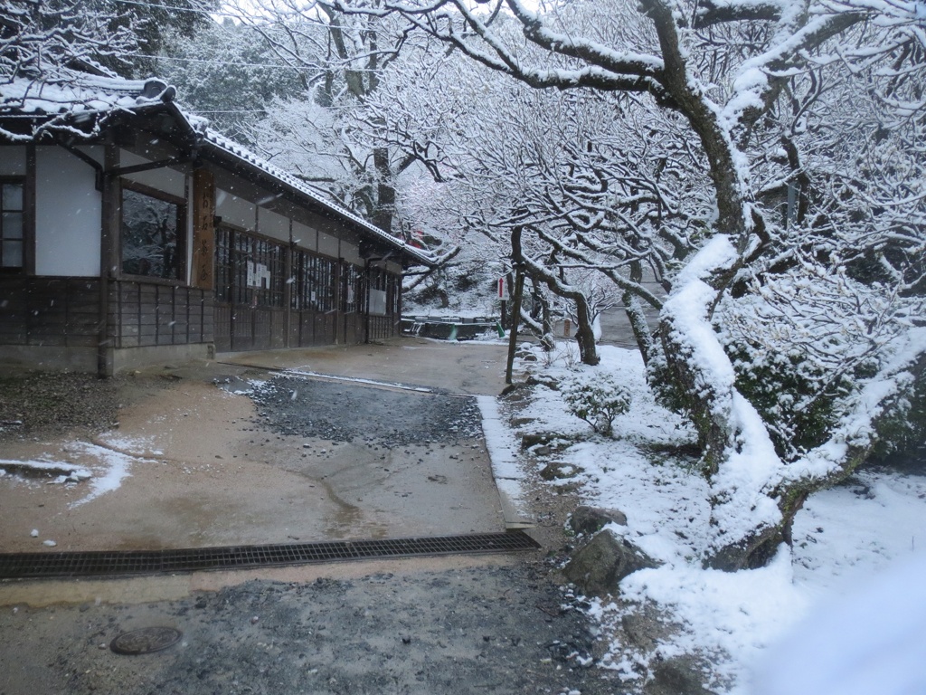 太宰府天開稲荷と雪　②