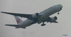 JAL B7