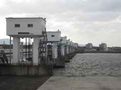 遠賀川河川敷②