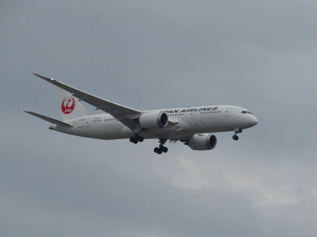 JAL  B787-8 ランディング