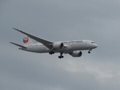 JAL  B787-8 ランディング