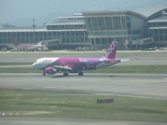 PEACH  Violet Rune  ①