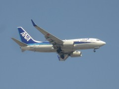 ANA  737-700  JA18AN