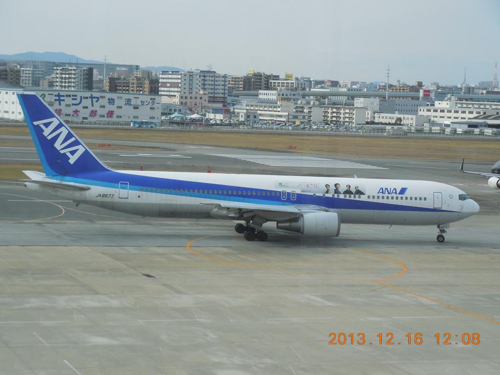 Ｂ７６７　八重の桜