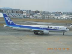 Ｂ７６７　八重の桜