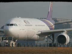 タイ国際航空を目の前から