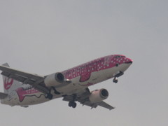 JTA　B3　ピンクジンベエの着陸
