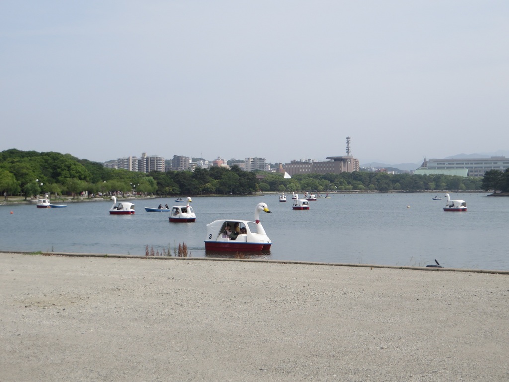 日曜の大濠公園④