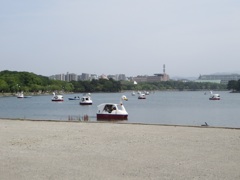 日曜の大濠公園④
