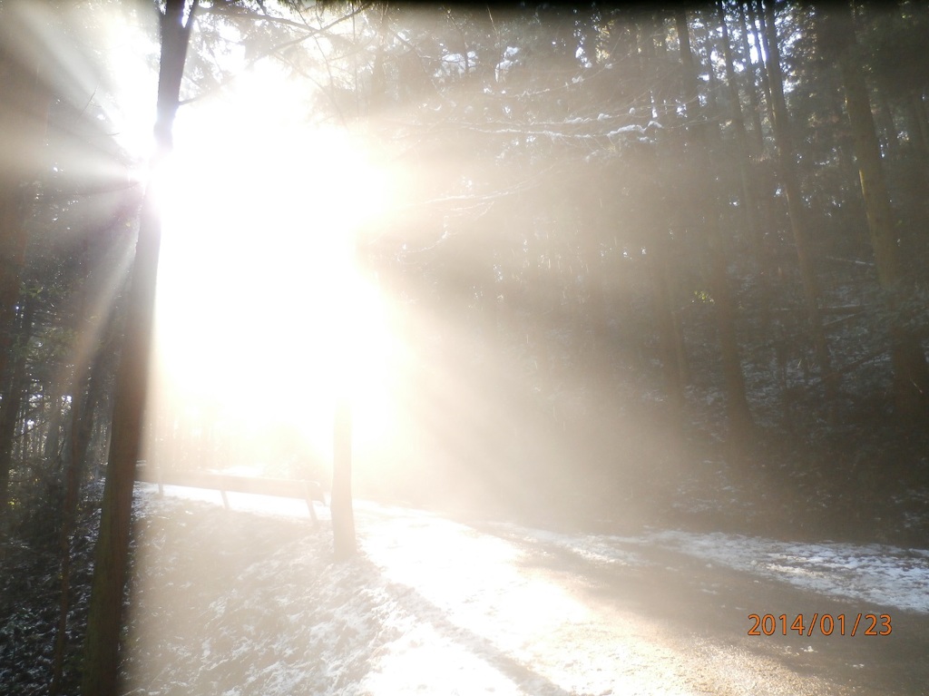 まぶしい太陽の光が差し込む山道 By Like 77 Id 写真共有サイト Photohito