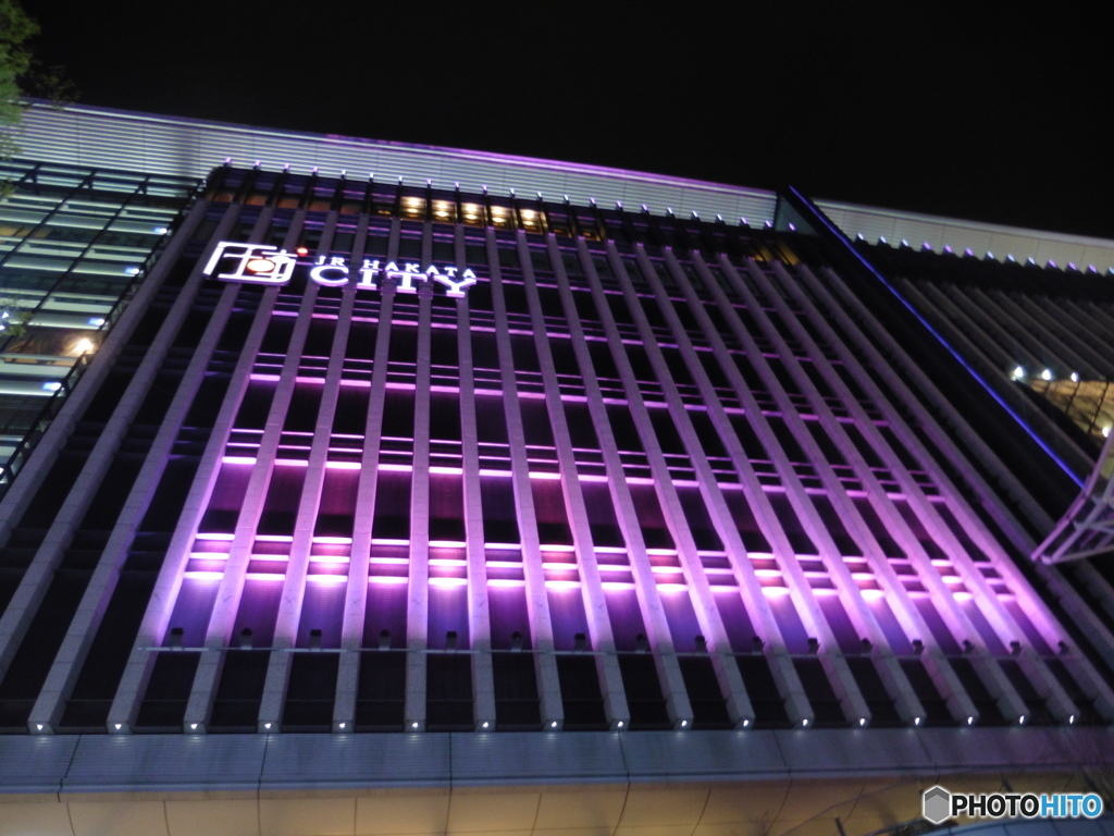 雨の日の桜イルミネーション②