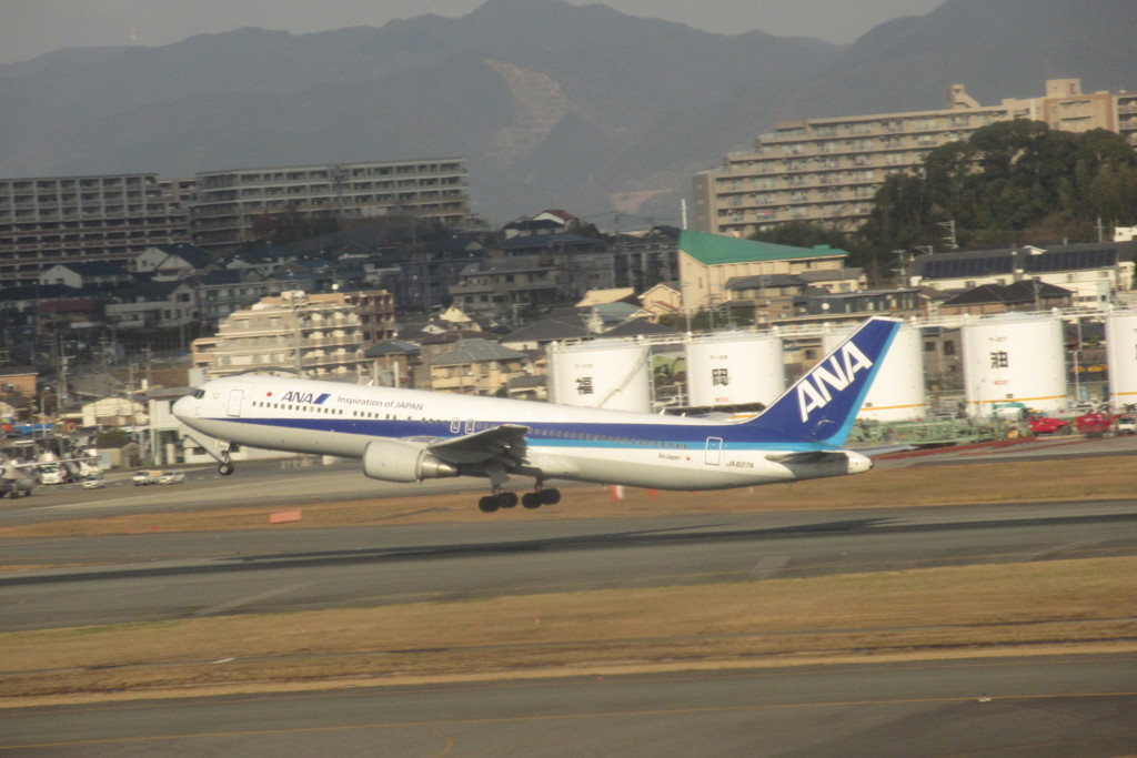 ANA  B767-300