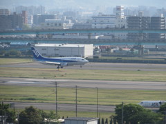 丘の上から眺める空港①
