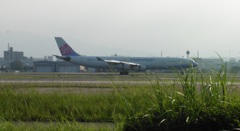 CHINA　AIRLINE　A340　B-18807着陸