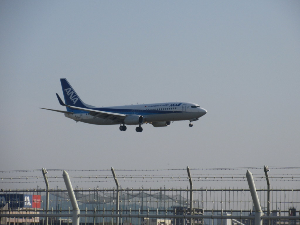 ANA　B737着陸