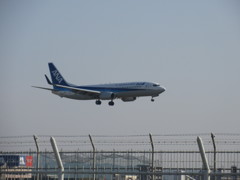 ANA　B737着陸