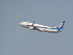 博多シティ屋上より　ANA B737-800の離陸