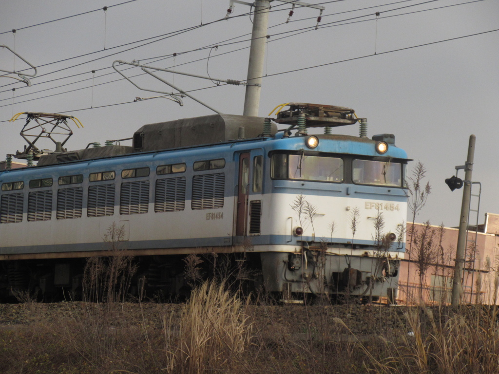 EF81-454貨物通過①