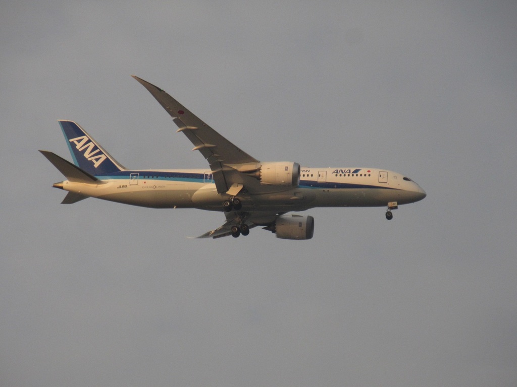 ANA  787-8  JA811A