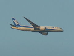 ANA  B787-8  福岡空港へのアプローチ