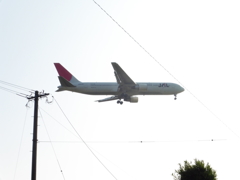 架線の合間から