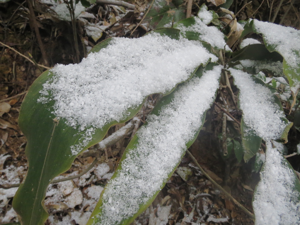 雪景色　6