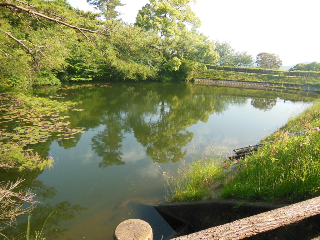 公園と自然　①