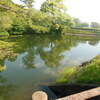 公園と自然　①