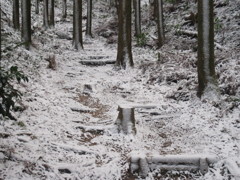 雪景色③