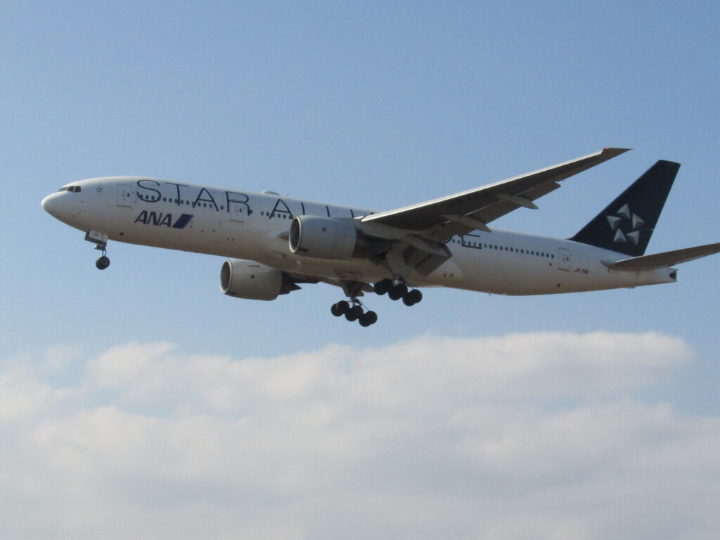 着陸　ANA  JA711A　福岡空港にて