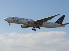 着陸　ANA  JA711A　福岡空港にて